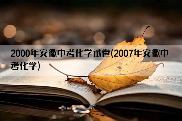 2000年安徽中考化学试卷(2007年安徽中考化学)