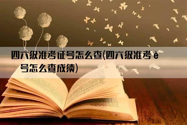 四六级准考证号怎么查(四六级准考证号怎么查成绩)